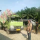 Laka Lantas Adu Kambing, Antara Truk Hino Modifikasi dengan Carry Jenis Pick Up di Jalintim Ukui Pelalawan