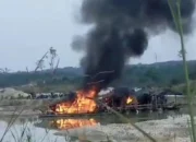 PETI Yang Lagi Viral, Warga Bertahan Hidup, Pemerintah Jangan Hanya Menindak Tanpa Memberi Solusi