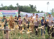 Kapolres Kuansing Tinjau Kesiapan Lahan Penanaman Jagung Serentak Program Ketahanan Pangan Polri