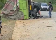 Laka Lantas Adu Kambing, Antara Truk Hino Modifikasi dengan Carry Jenis Pick Up di Jalintim Ukui Pelalawan