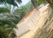 Masyarakat Baturijal Barat Bantah Klaim Wilayah Adat di PTPN V