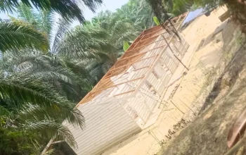 Masyarakat Baturijal Barat Bantah Klaim Wilayah Adat di PTPN V