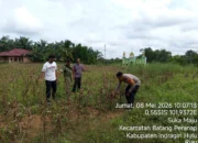 Sinergi Kawal Ketahanan Pangan, Polsek Peranap Evaluasi Gagal Panen di Desa Sukamaju