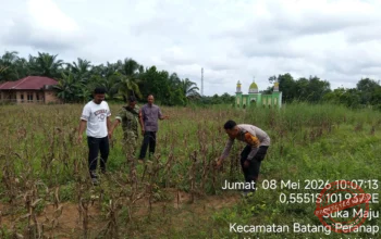 Sinergi Kawal Ketahanan Pangan, Polsek Peranap Evaluasi Gagal Panen di Desa Sukamaju