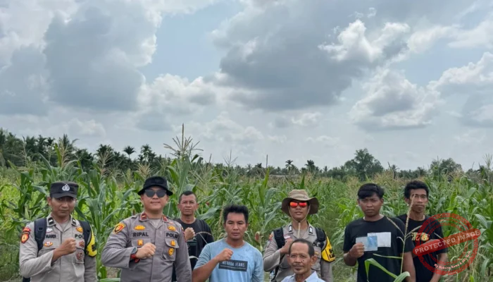 Kapolsek Tembilahan Aktif Pantau Perkembangan Jagung, Wujud Nyata Dukungan Swasembada Pangan