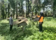 DDS Bhabinkamtibmas Polsek Kelayang, Polisi Cinta Petani dan Manisnya