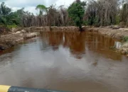 *Penetapan PT Musim Mas Dinilai Harus Diikuti Penindakan Besar-Besaran Korporasi Sawit Nakal di Riau*