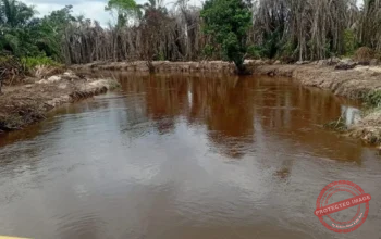 *Penetapan PT Musim Mas Dinilai Harus Diikuti Penindakan Besar-Besaran Korporasi Sawit Nakal di Riau*