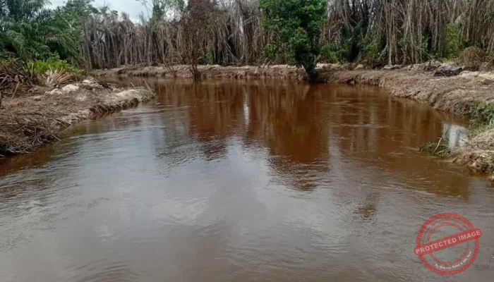 *Penetapan PT Musim Mas Dinilai Harus Diikuti Penindakan Besar-Besaran Korporasi Sawit Nakal di Riau*