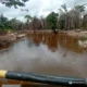 *Penetapan PT Musim Mas Dinilai Harus Diikuti Penindakan Besar-Besaran Korporasi Sawit Nakal di Riau*